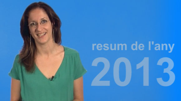 Resum informatiu del 2013