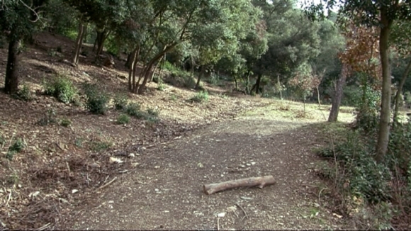 Cugat.cat recorda la ventada que va afectar la ciutat fa cinc anys