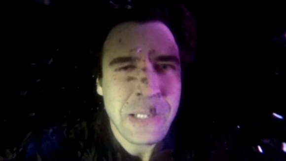 Ocellot 'Lonely friends'