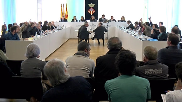 Ple ordinari febrer 2015