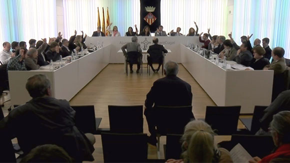 Ple ordinari març 2015