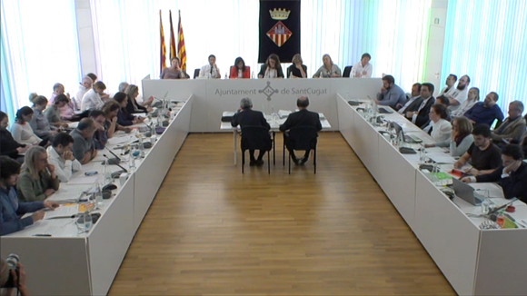 Ple ordinari abril 2017