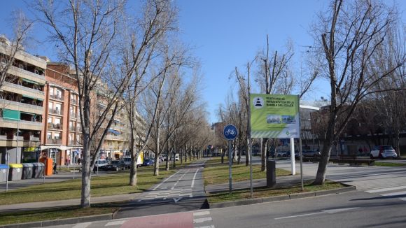 En quin punt es troba la renovació de l'arbrat de la Rambla del Celler