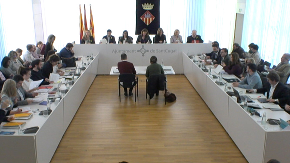 Ple ordinari gener 2018