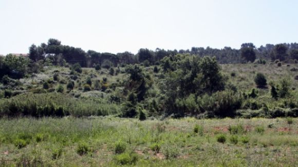 El ple tracta la desestimació d'una nova proposta dels petits propietaris per urbanitzar Torre Negra