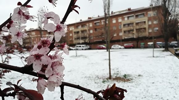 Previsió de neu a Sant Cugat i al Vallès Occidental aquest dissabte