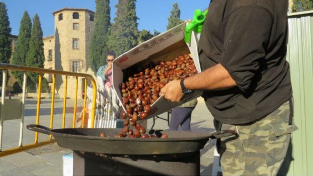 Alt: Ja es poden comprar castanyes als carrers de Sant Cugat a partir d'aquest divendres