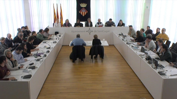 Ple ordinari gener 2019