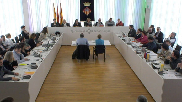 Ple ordinari de febrer de 2019