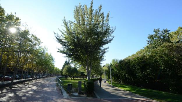 Hi ha poca cobertura al Parc Central?