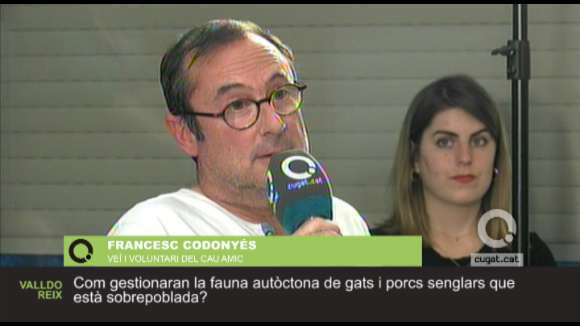 Francesc Codonyés, veí i voluntari del Cau Amic, pregunta sobre la població de gats i senglars