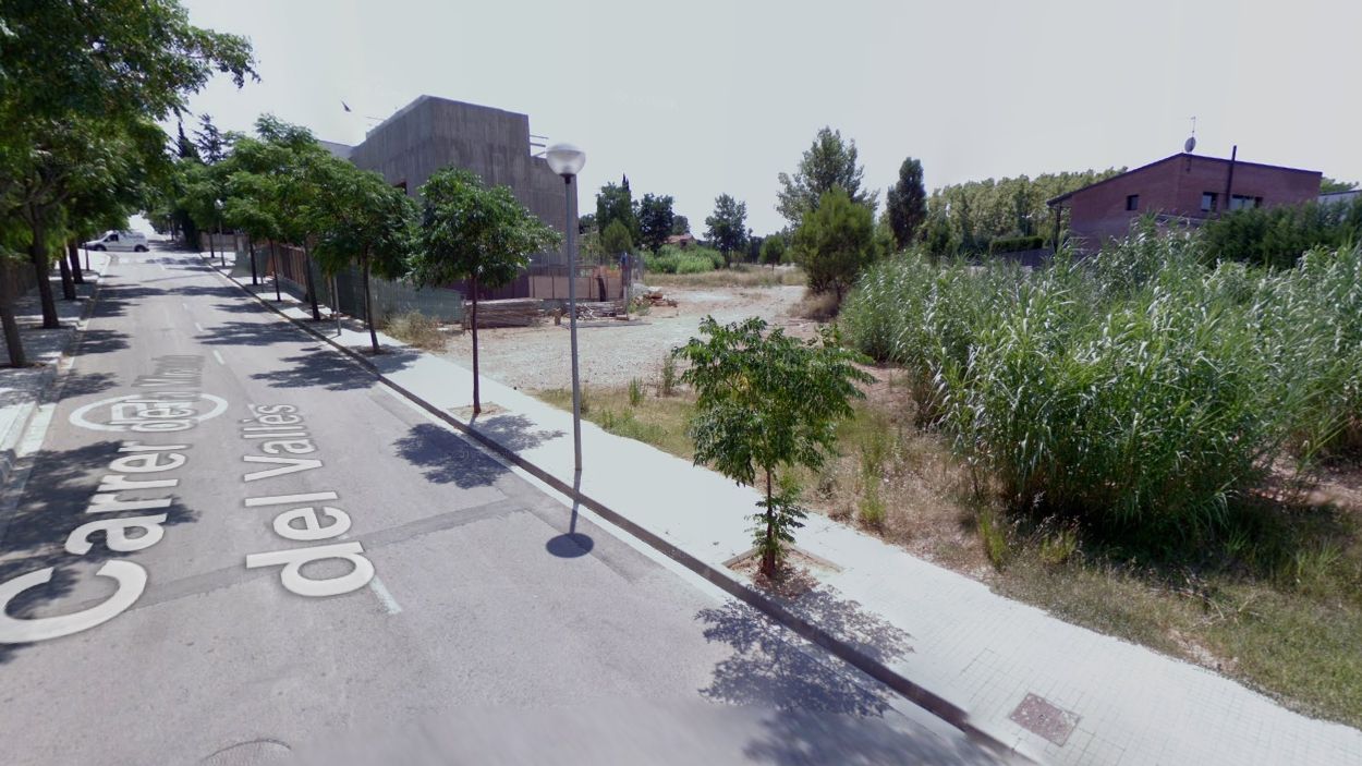 L'Ajuntament investiga la mort d'una quinzena de gats de carrer a Mira-sol