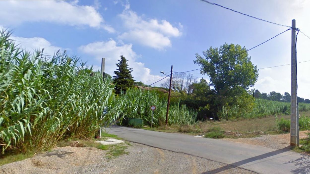 El Torrent del Llobet tindrà un recorregut autoguiat per conèixer la seva fauna i flora