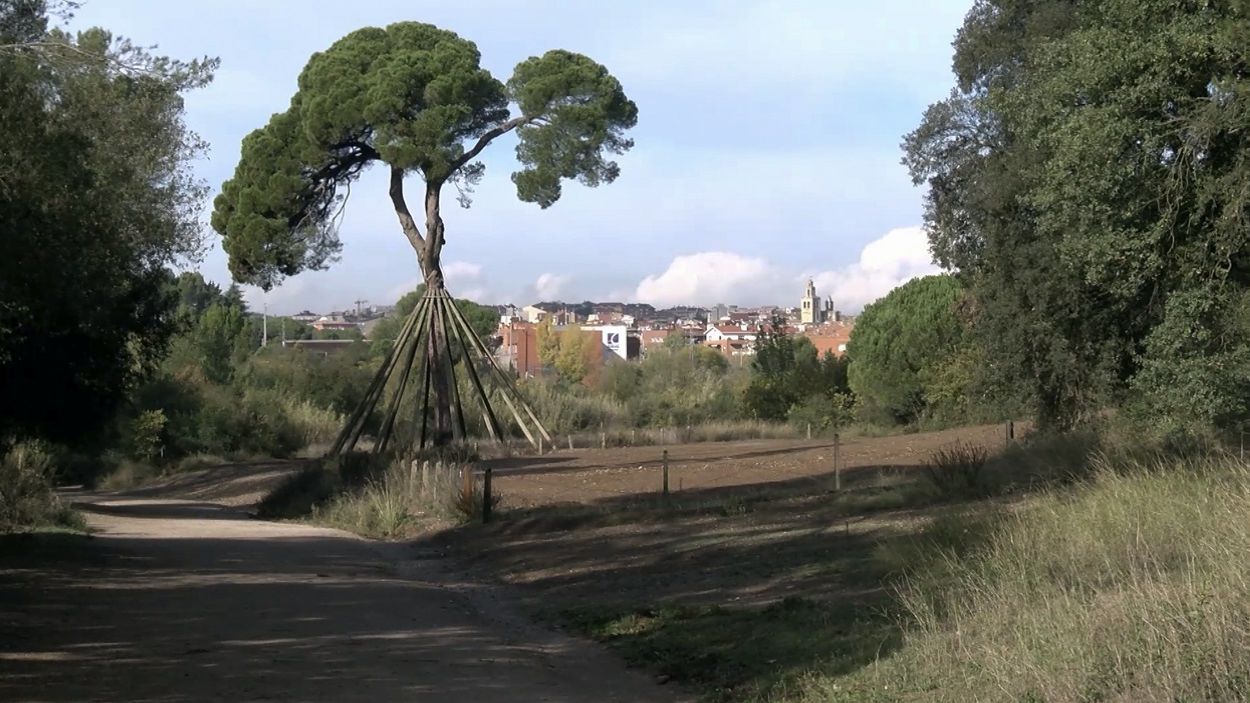 El conflicte per Torre Negra inicia una nova etapa