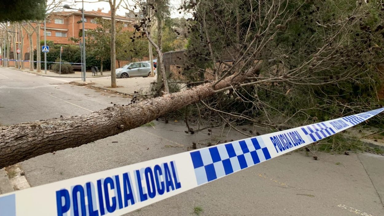 [Fotogaleria]  El temporal Gloria deixa a Sant Cugat, de moment, una seixantena d'incidències