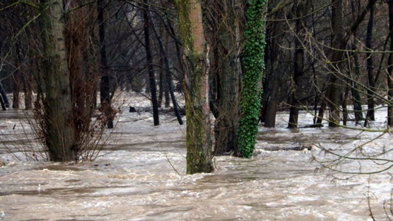 Banderes a mig pal a Sant Cugat per les víctimes del temporal Gloria