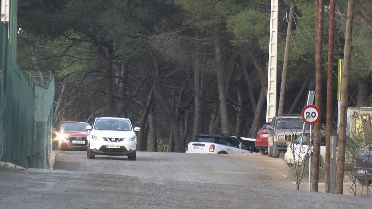 Retiren un rusc d'abelles al bosc a tocar de l'escola Avenç