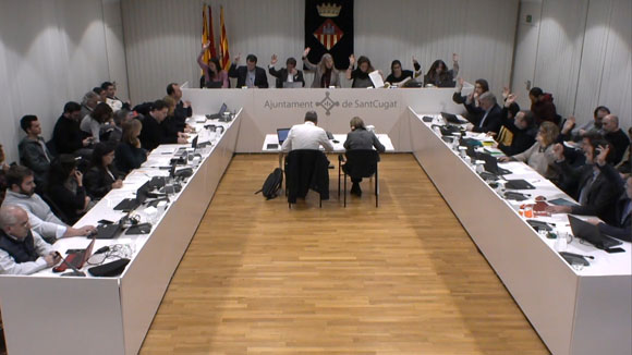 Ple ordinari gener 2020