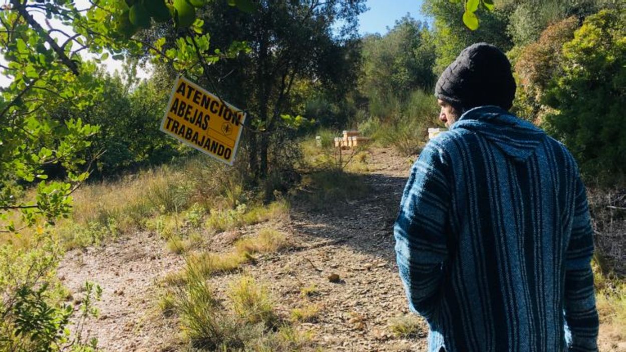 Abellaires per repoblar Collserola