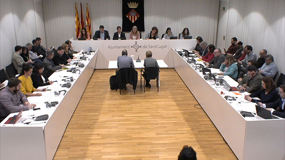 Ple ordinari febrer 2020