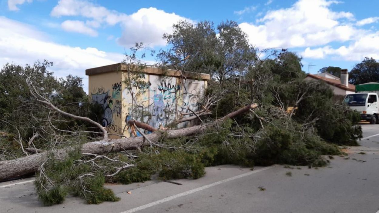 El vent es fa notar a Sant Cugat amb força i incidències lleus