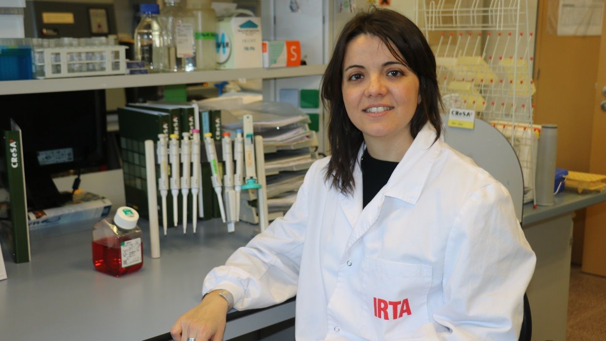 Vergara-Alert (investigadora): 'La solució més immediata contra el coronavirus és trobar un antiviral, una vacuna eficaç pot trigar un any i mig'