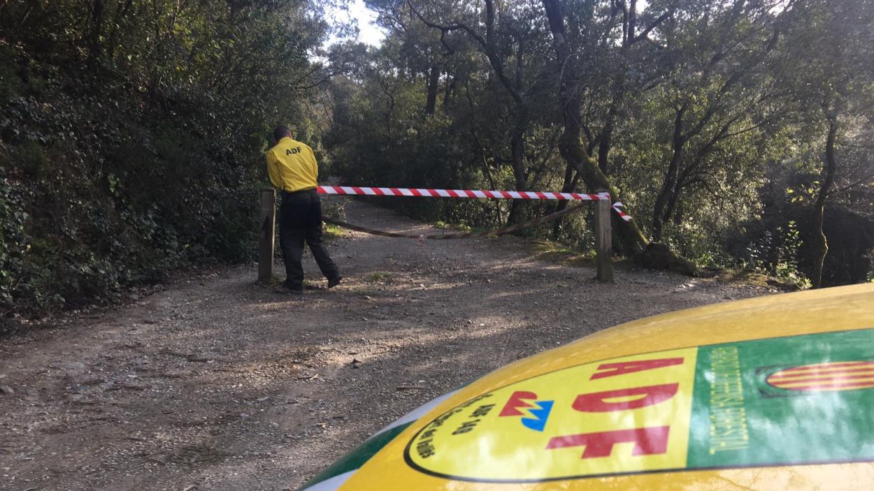 Més de 3.500 persones s'han saltat des de Sant Cugat la prohibició d'accedir a Collserola