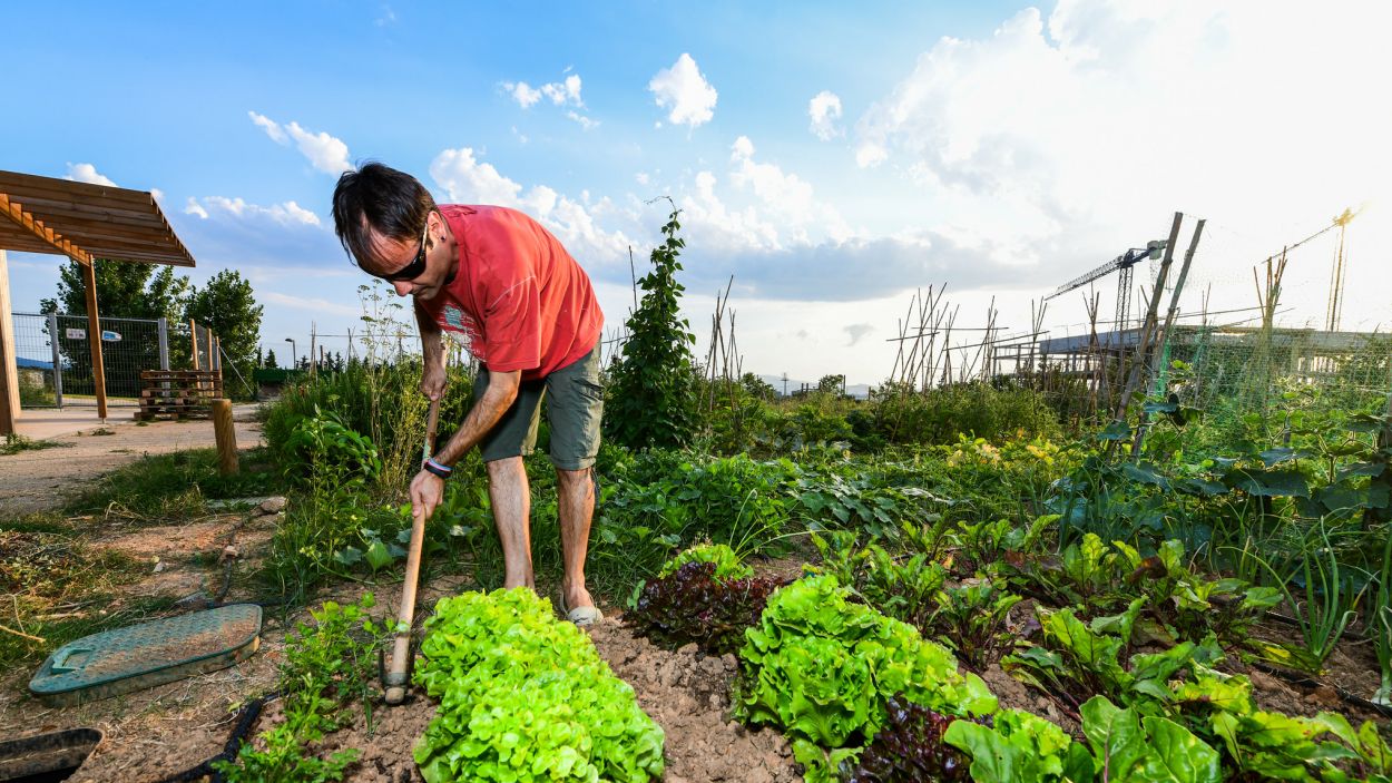Aixecada la restricció per anar als horts particulars per a autoabastiment