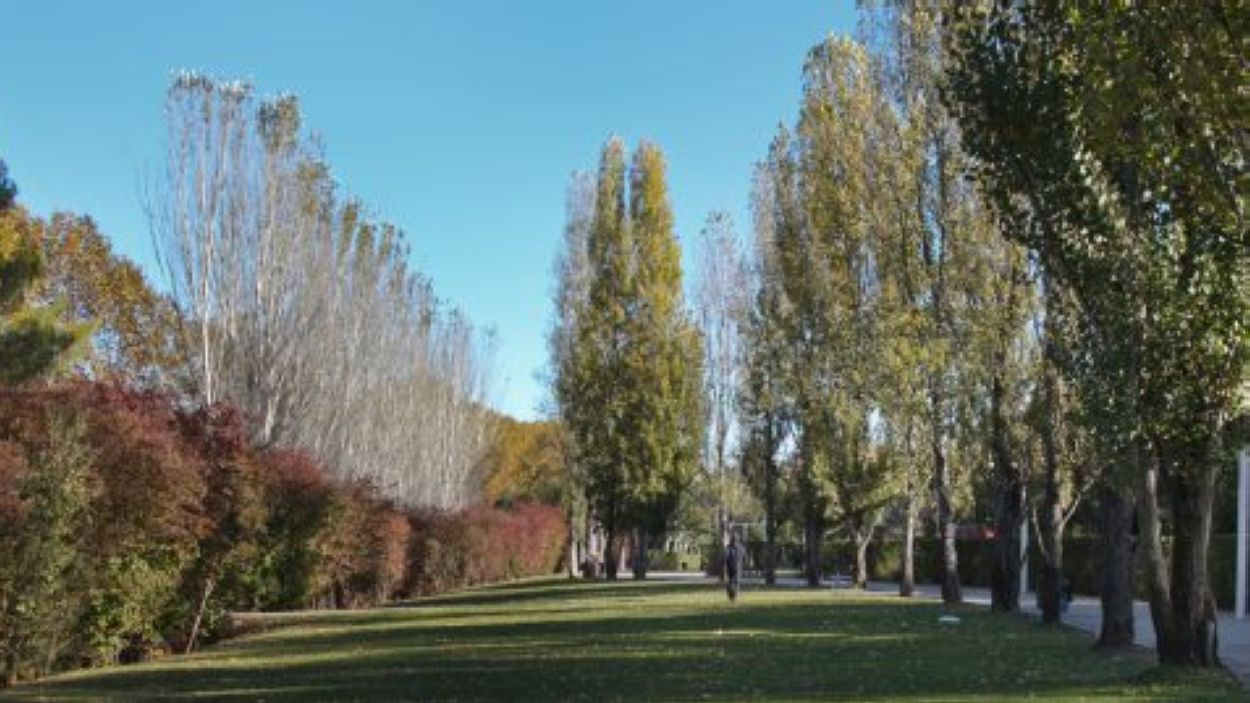 Es reprèn el servei de manteniment de parc i jardins