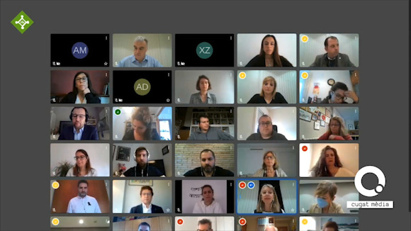 Ple extraordinari del 20 d'abril de 2020. El primer ple telemàtic
