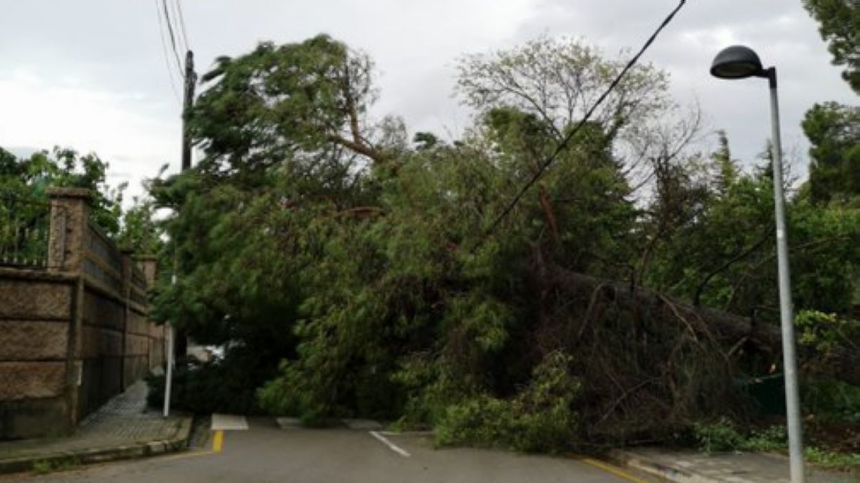 La pluja i el vent deixen més d'una cinquantena d'incidències a Sant Cugat