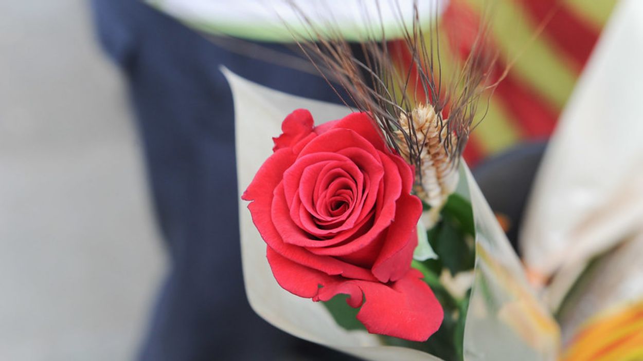 Floristeries i llibreries de Sant Cugat tanquen les entregues per Sant Jordi per l'alta demanda