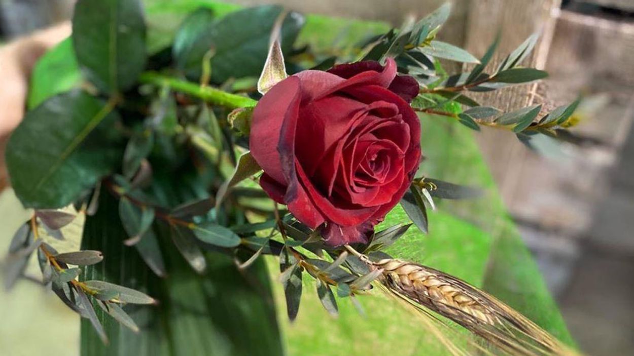 Jardineria i floristeria també a domicili en temps de restriccions