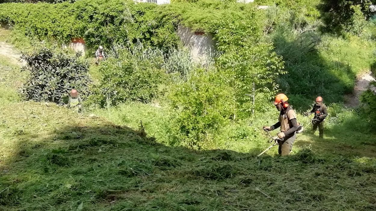 Valldoreix comença a obrir franges de seguretat contra incendis per a l'inici de la temporada d'estiu