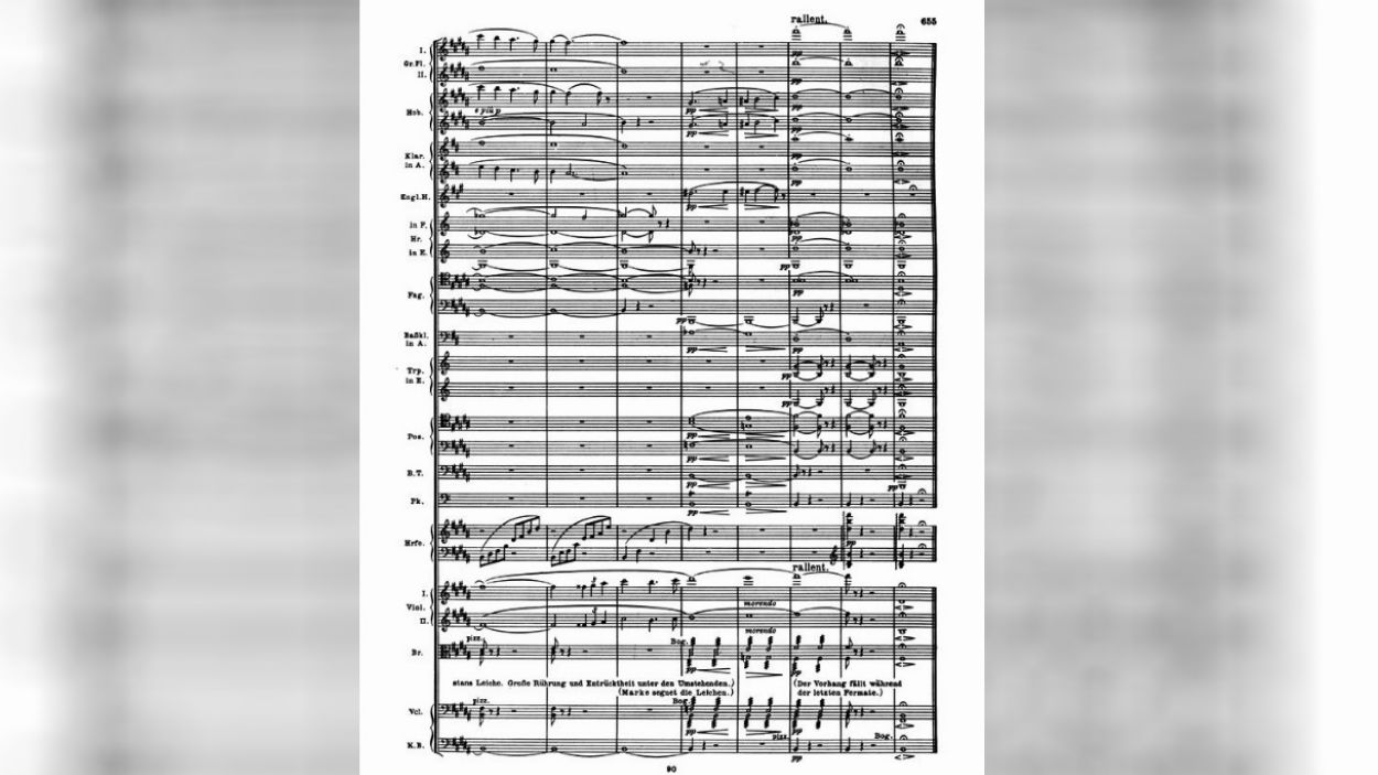 La orquestra simfònica, des de dins