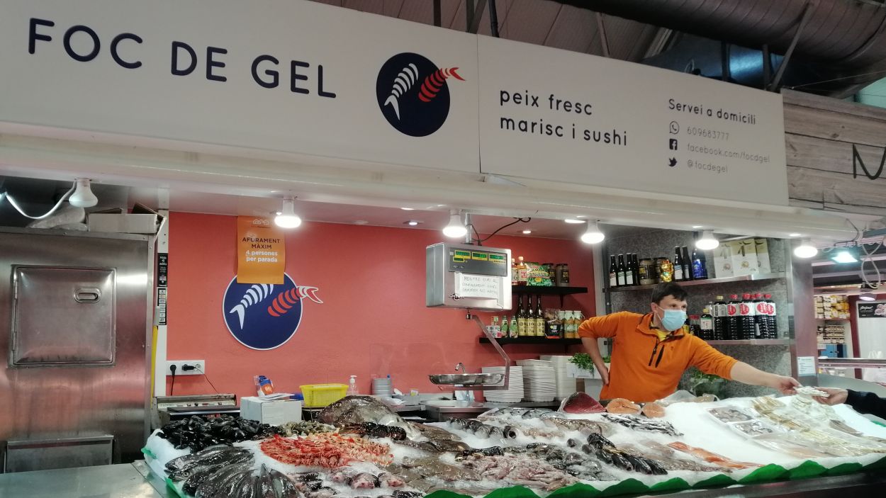 Quins son els peixos que ens tocaria menjar ara?