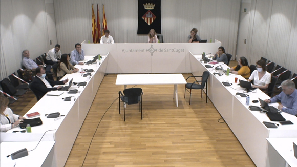 Ple ordinari del mes de juny