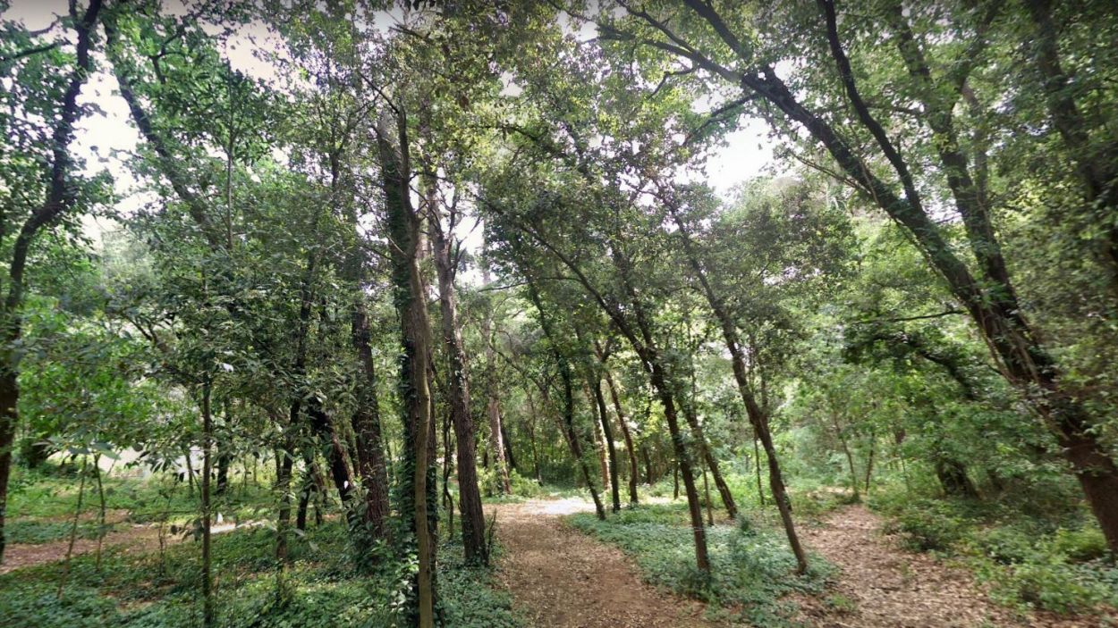 2.700 signatures contra el projecte de La Mirada al Bosc de Volpelleres
