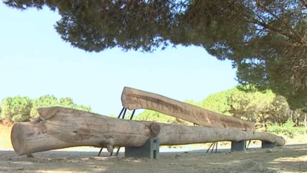 Alt: Bancs fets amb arbres caiguts a Collserola