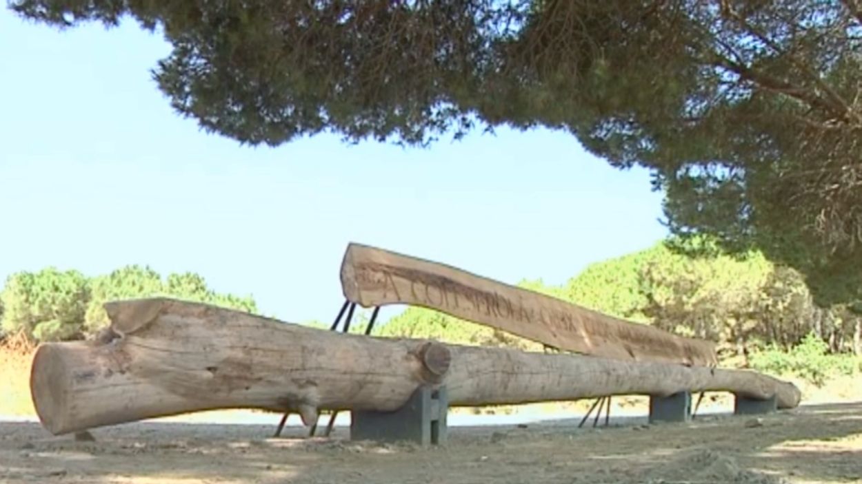 Bancs fets amb arbres caiguts a Collserola