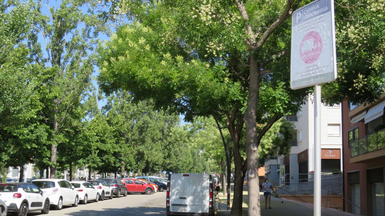 Problemes de visibilitat, d'aparcament i falta de mobilitat al passeig Francesc Macià