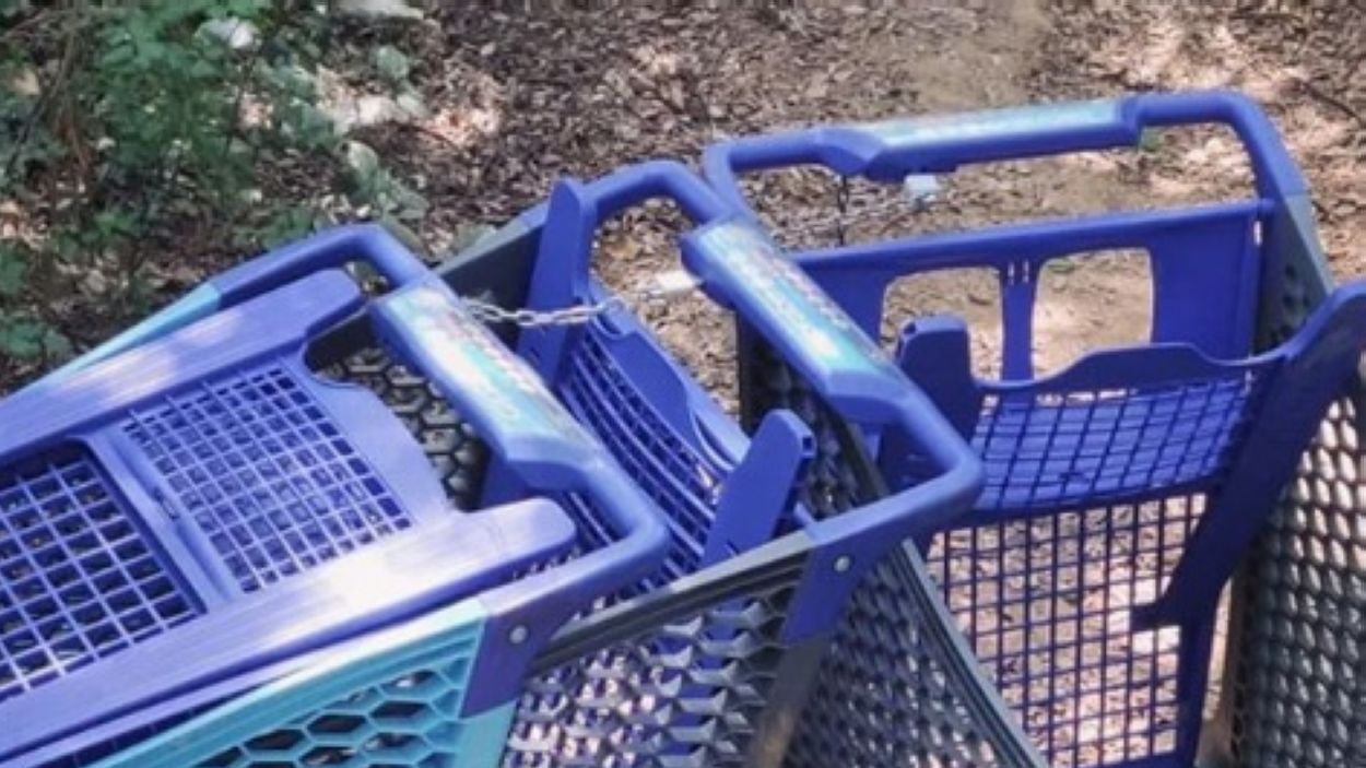 Apareixen deixalles i residus abocats a Torre Negra