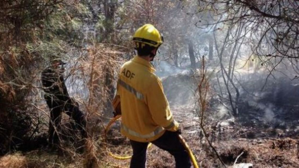 26 anys de l'incendi de la Floresta i les Planes, el desastre ecològic més important a Sant Cugat