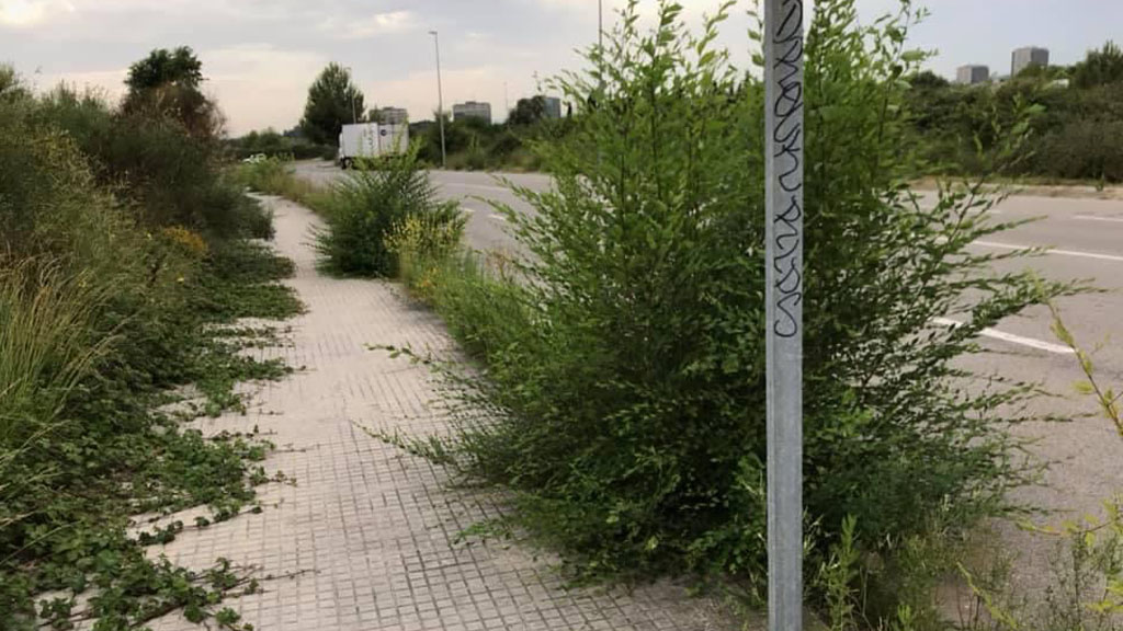 L'Ajuntament contractarà una empresa per fer el manteniment de les voreres