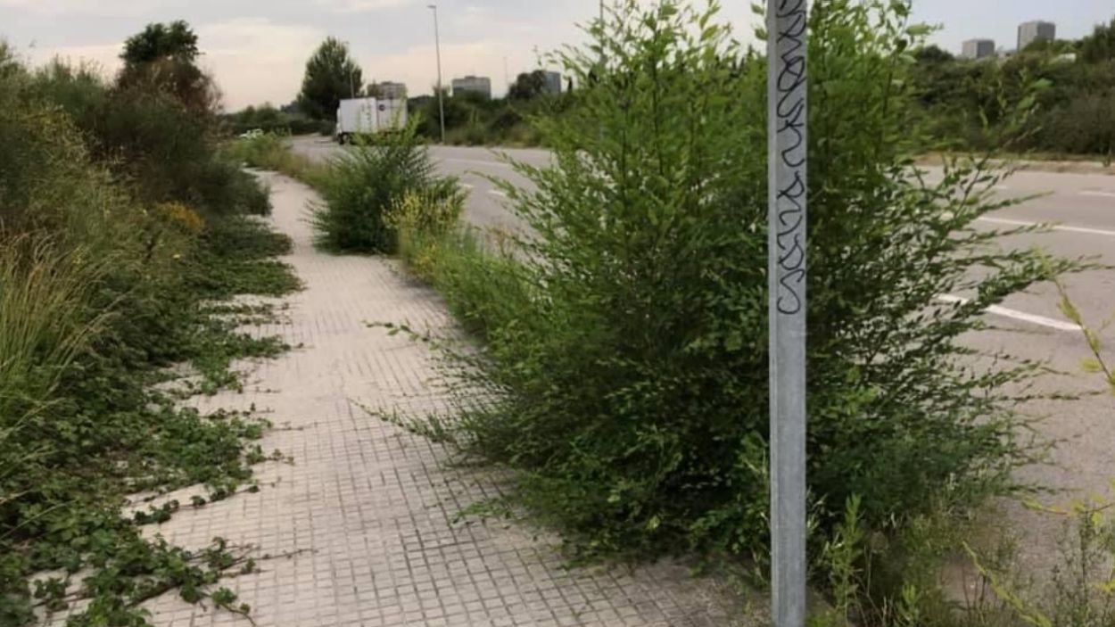 L'Ajuntament contractarà una empresa per fer el manteniment de les voreres