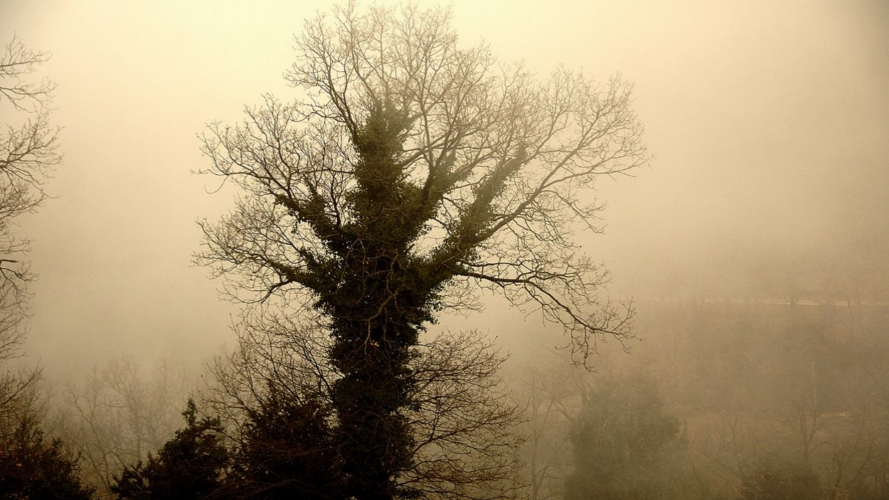 La 4a Biennal de Fotografia arriba aquest dijous a Sant Cugat