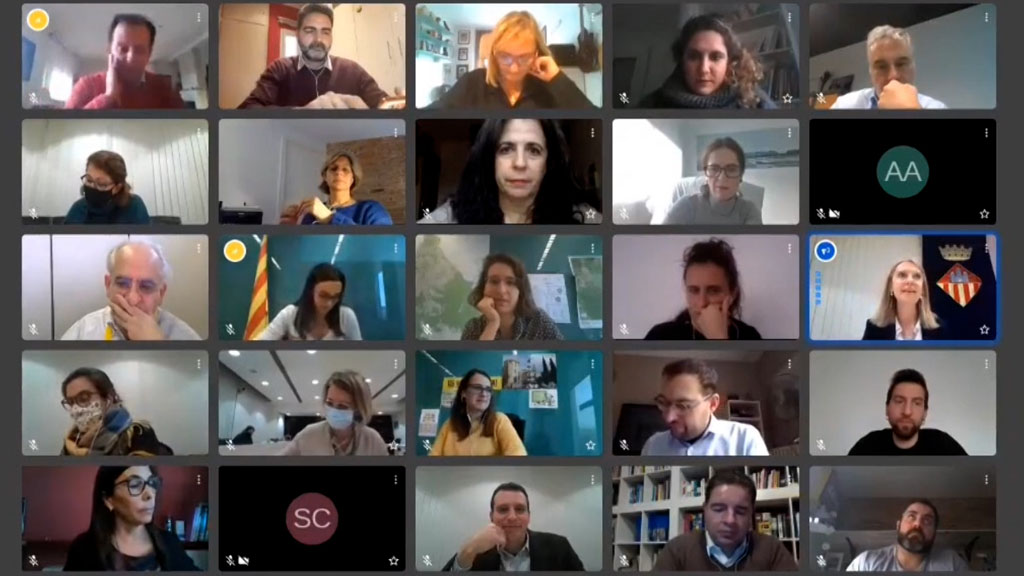 Ple ordinari de desembre de 2020