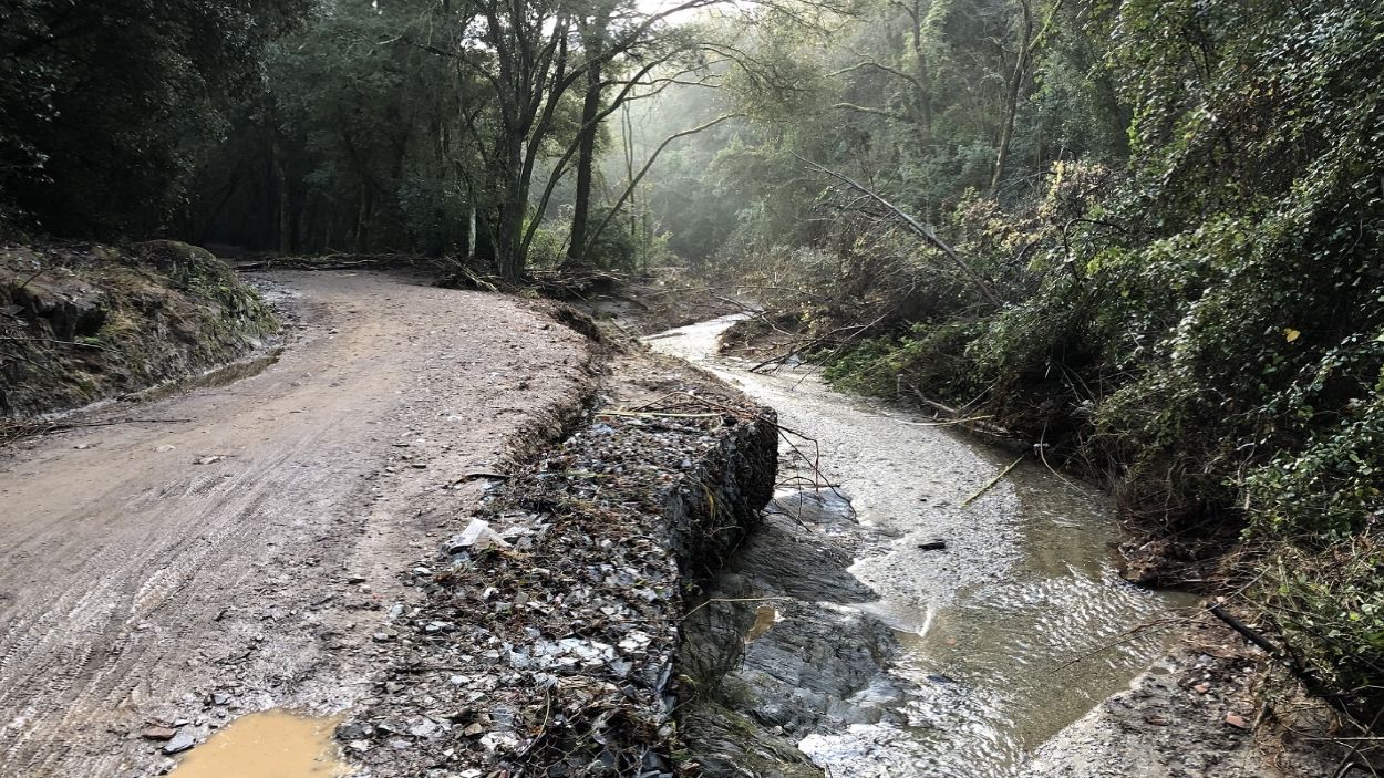 Els aiguats de divendres provoquen afectacions als camins del Parc Natural de Collserola