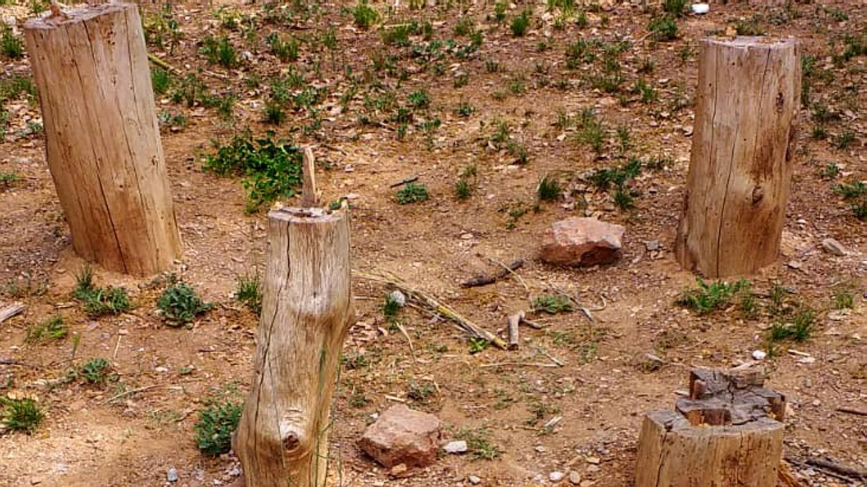 Bretolada a Valldoreix: destrossen l'escultura 'Cadires Salvatges'