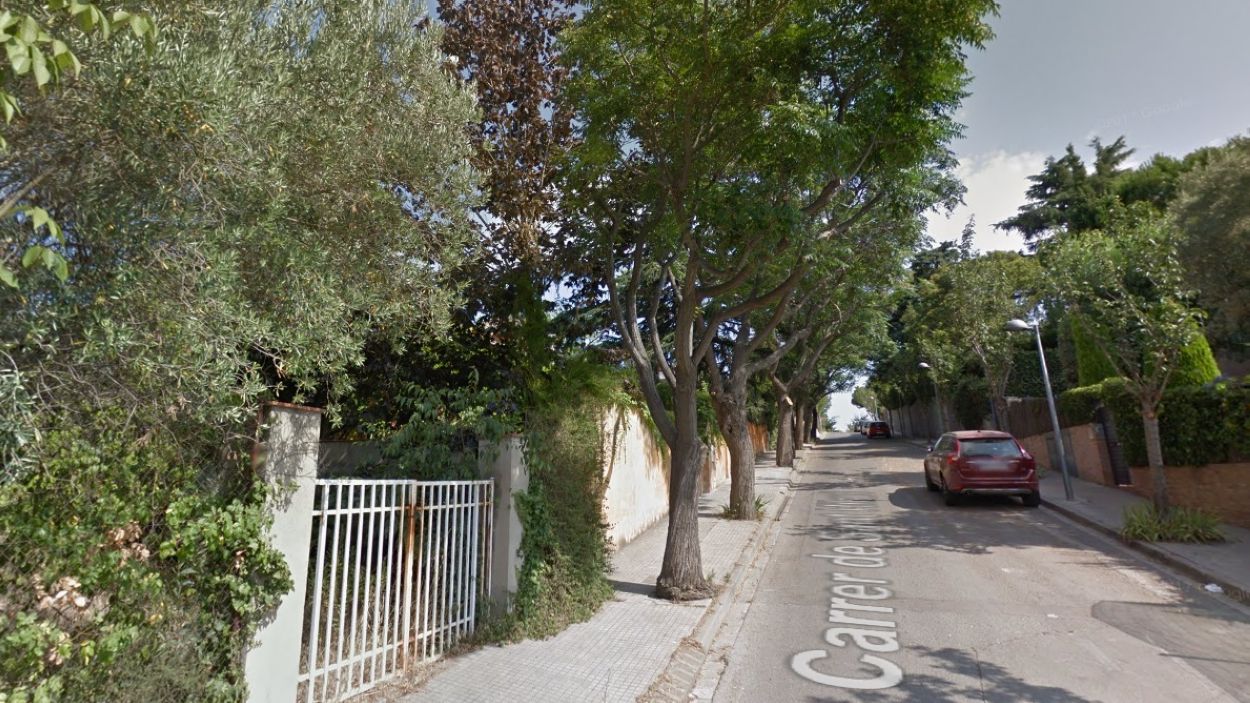 El vent fa caure un arbre al carrer Santa Rita